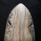 Winderen Transport Horse Rug