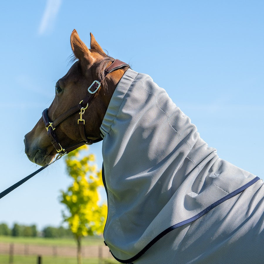 Winderen Hood for Horse Rug - Fly Proof