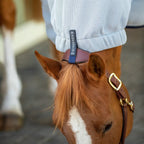 Winderen Hood for Horse Rug - Fly Proof