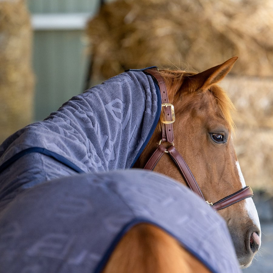 Winderen Hood for Horse Rug Quick Dry