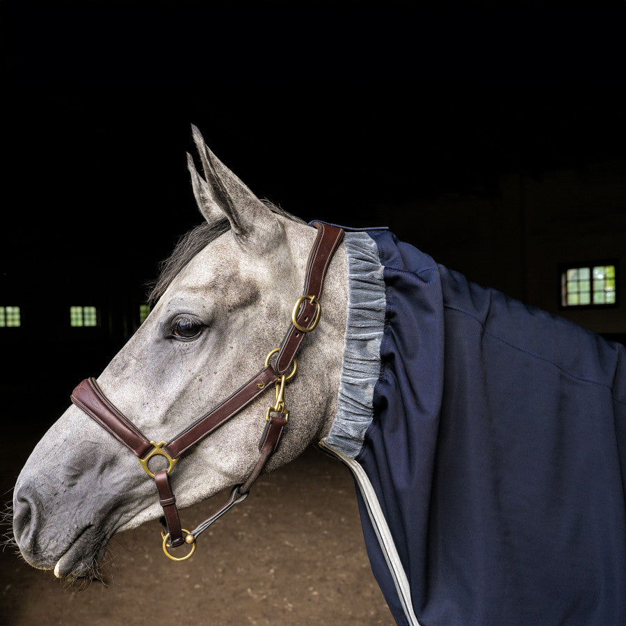 Winderen Hood for Horse Rug Thermo Clear