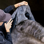 Winderen Hood for Horse Rug Thermo Clear Softshell