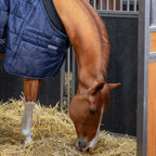 Winderen Stable Rug - Thermoactive Zoom 100-350