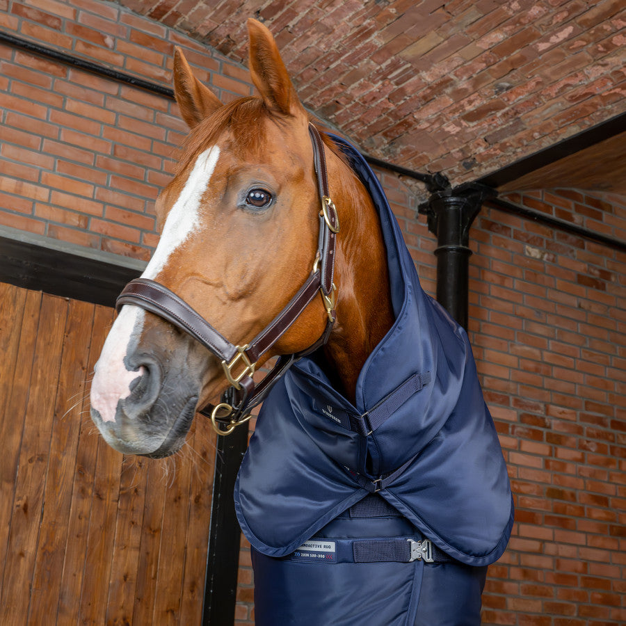 Winderen Hood for Stable Rug - Thermoactive Zoom 100-350