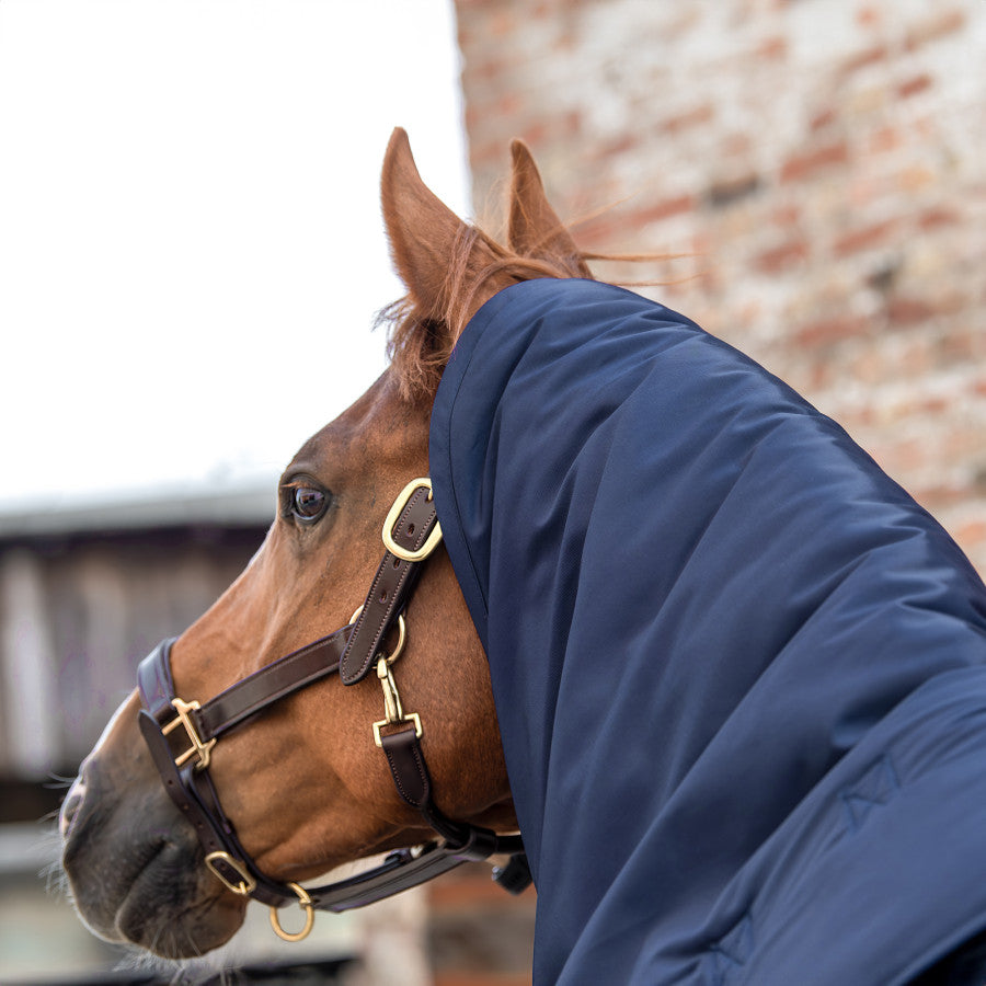 Winderen Hood for Stable Rug - Thermoactive Zoom 100-350